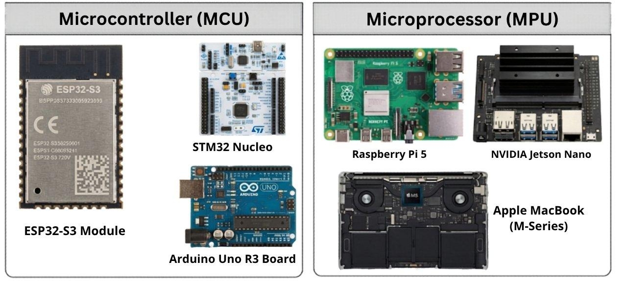 microcontroller and microprocessor examples